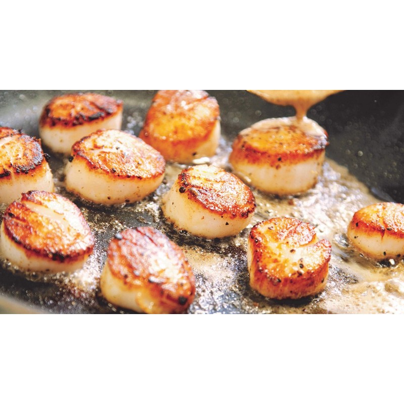 NESTLADY Dried Japanese Scallops 0.5LB - 100% Natural , Dried,