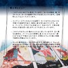 Star Maiden Tarot Tarot Tarot Divination with Japanese Manual (English