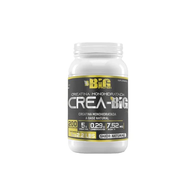 Creatina Monohidratada en Polvo BIG PROTEIN 1 Kg 200 Servicios