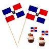 100 Pcs Dominican Republic Toothpick Flag Dominican National Small Mini