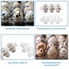 Oungy Pack of 100 Quail Egg Boxes with Lid, 6