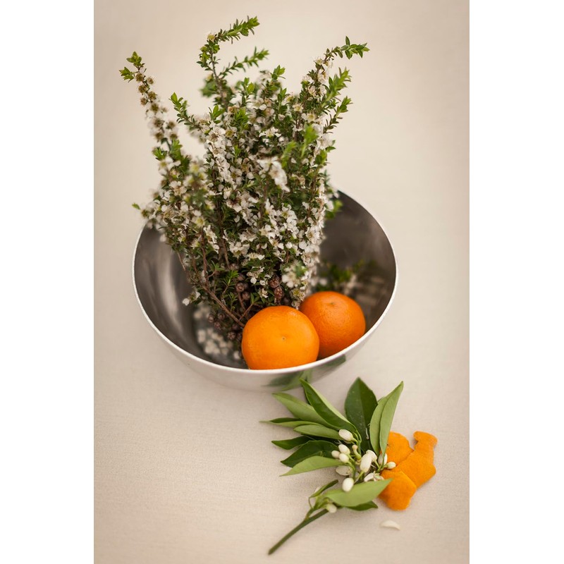 Bondi Wash - Body Wash - Lemon Tea Tree &