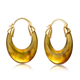YESLADY Acrylic Hoop Earrings Oval Brown Resin Minimalist Statement Chunky Hoops for Women