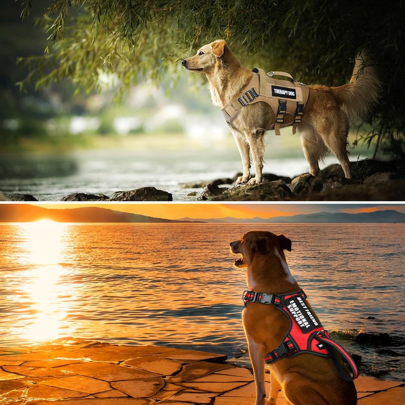 WINSEE Service Dog Patches in Training Patch for Service Vest