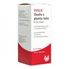 Oxalis E Planta Tota W 10% Oil 100 ml