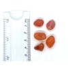 Carnelian Mini Crystal Tumbled Stones - 10 Pc
