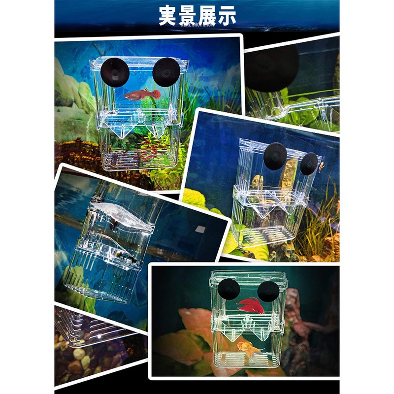 PANASONN Egg Spawning Case, Isolating Case, Multi-functional, Fish Breeding Isolation