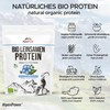 AlpenPower Organic Linseed Protein 600 g - 100% Pure &