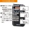Ohm Electric AudioComm RAD-P350N-K Radio (Black)