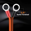 CUZEC Battery Alligator Clips, 12/24V, 12AWG Cable with 30A Fuse,