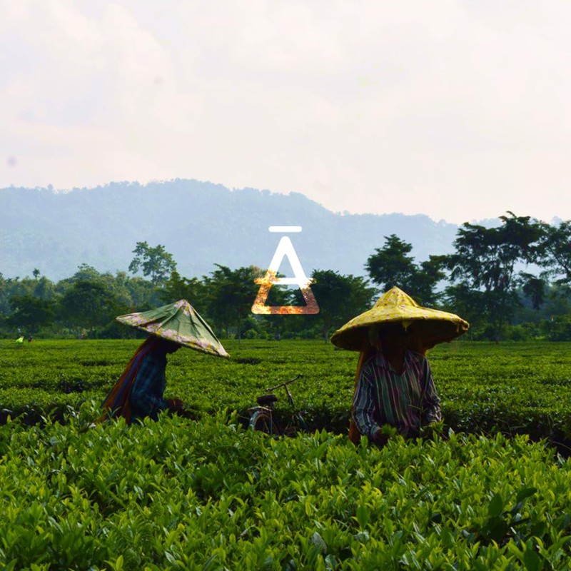 Vayu Tea English Breakfast Tea (100% Assam) Loose Leaf Pouch