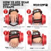 BEAR GRIP - Premium Figure 8 weight lifting straps (sold