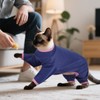 DENTRUN Cat Clothes for Hair Control with Hair Sticky Fabric