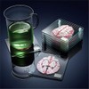 Timethink (Set of 10) 4'' 3D Brain Specimen Coasters, Funny