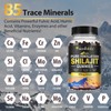 Shilajit Gummies, Pure Himalayan Shilajit Gummies with 100% Shilajit, Shilajit
