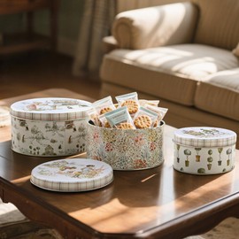 Quorvynne Decorative Metal Storage Tin Boxes with Lids for Home Decor Memory Boxes for Keepsakes and Photos,Gift Set for Presents Nesting Floral Photo Storage Containers (Doesn't Seal)