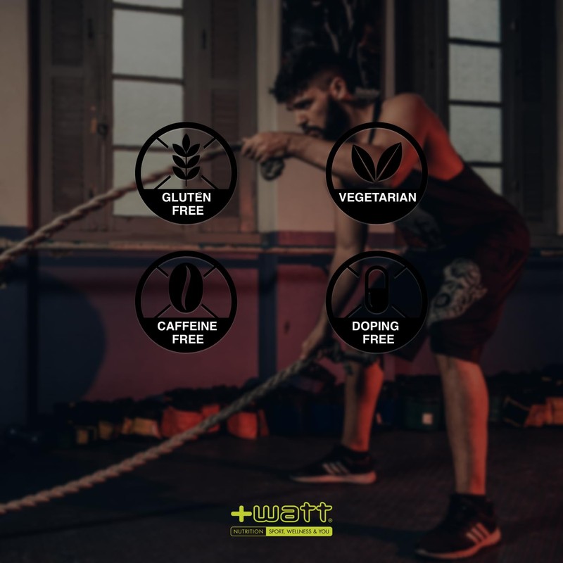 + Watt Whey Protein 90 Proteins del Siero del Latte