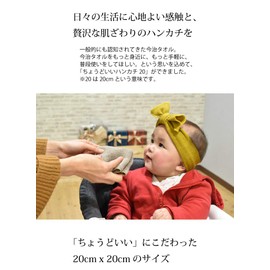 Imabari Towel Handkerchief Just the Right Handkerchief 20, Set of 6 (Classic Gray)