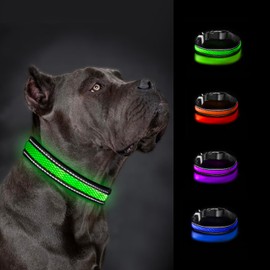Glow Collar LED Dog Collar - Rechargeable USB Light Up Dog Collar - Waterproof, Multi-Mode Flashing Dog Collar (Large, Green)