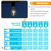 winsaLED 4000K Cool White LED Edison Bulbs 25W Equivalent, Low