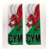 Domed CYM Wales Flag Vehicle Number Plate Stickers - 39mm