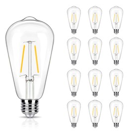 winsaLED 12 Pack 2W LED Edison Bulbs, 25 Watt Light Bulbs Equiv, 2700K Soft Warm with E26 Standard Base, LED ST19 Low Watt Light Bulbs, 250LM, Not-Dimmable, 120V