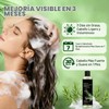 100ml Champú Orgánico De Romero Para El Crecimiento Del Cabello