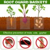 Yaocom 80 Pcs 1 Gallon Gopher and Vole Wire Mesh