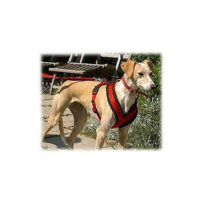 Trixie Premium Harness with Fleece Padding, Black, M: 45–80 cm/25