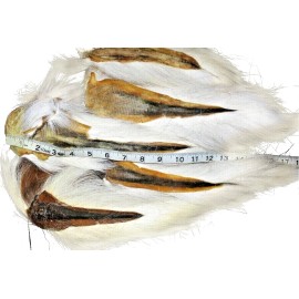 SupplyIt 5 Large Northern Bucktail Natural White Fly Tying Material Deer Hair - 4"-5" Inches, Large (10"-14" Inches)