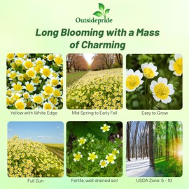 Outsidepride Meadowfoam Seeds - 1000 Pcs. Annual, Self-Seeding & Low Maintenance, Ground Cover Seeds for Planting Fragrant Yellow-White Blooms, Great for Gardens, Borders, & Container Displays