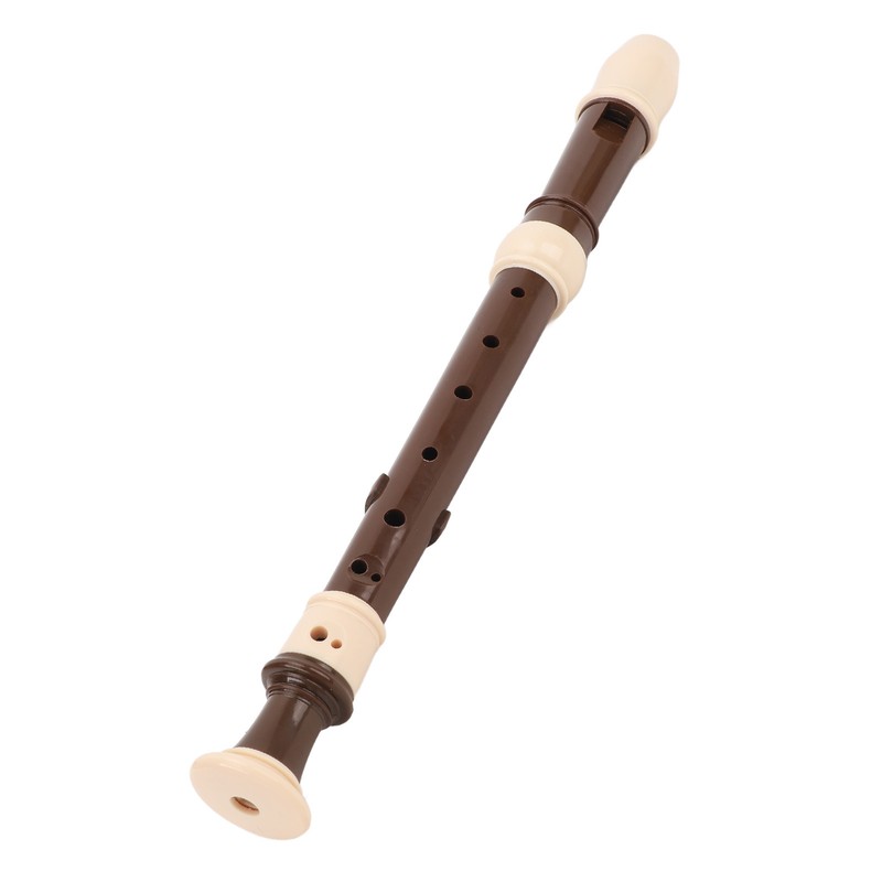 8 Hole Recorder Detachable Soprano Recorder Musical Instrument with Cleaning