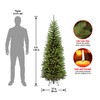 National Tree Company Artificial Slim Christmas Tree, Green, Kingswood Fir,