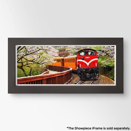 Pintoo Jigsaw Puzzles 1000 Piece for Adults - Panorama - Forest Train in Alishan National Park Beautiful Plastic Puzzle for Home Decor Zero Dust Easy Storage [H1483]