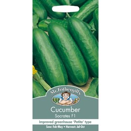 Mr Fothergills Mr Fothergill's 16918 Vegetable Seeds, Cucumber Socrates F1