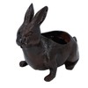 Rabbit Planter Animal Shaped Cartoon Succulent Plant Pot Garden Decoration