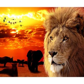 CafePress Lion King Throw Blanket Super Soft Fleece Plush Throw Blanket, 60"x50"
