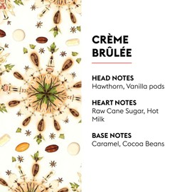 Creme Brulee | Lampe Berger Fragrance Refill by Maison Berger | for Home Fragrance Oil Diffuser | Purifying and perfuming Your Home | 16.9 Fluid Ounces - 500 milliliters | Made in France