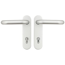 Domoferm 601040000 Latch Furniture on Short Plate with Insert and 1 Key, Spacing PZ 88 mm Aluminium Silver