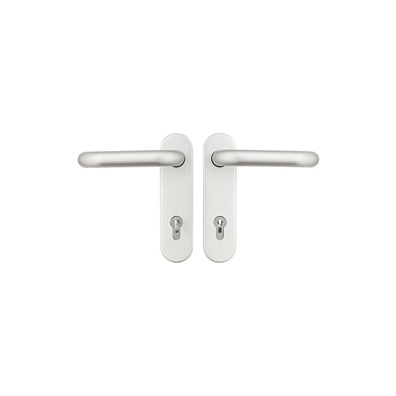 Domoferm 601040000 Latch Furniture on Short Plate with Insert and