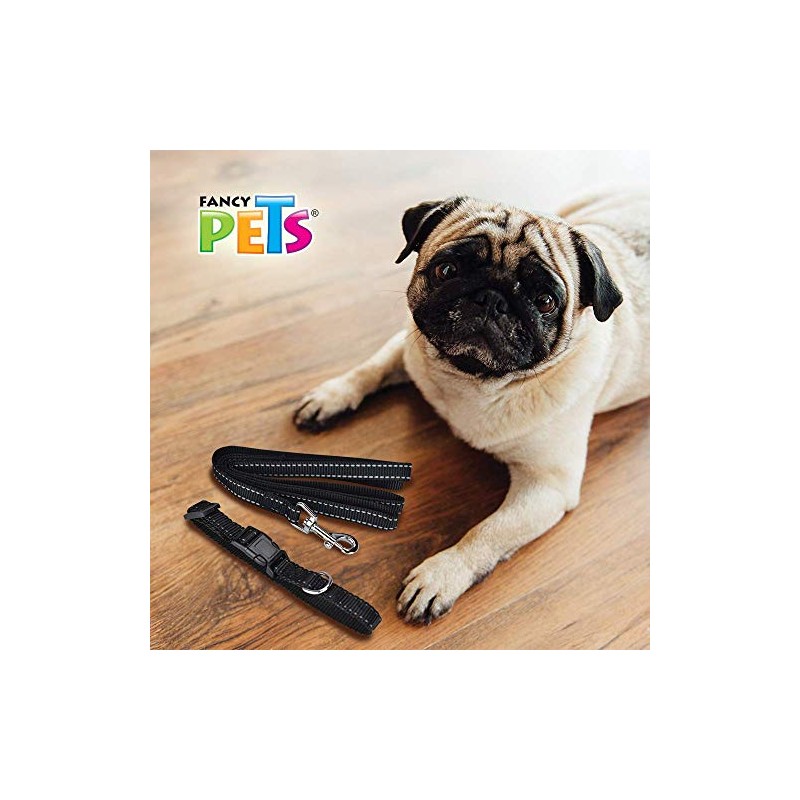 Fancy Pets Correa con Collar de Nylon para Perro con
