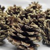 Black Duck Brand 30 x Christmas Glitter Frosted Pine Cones
