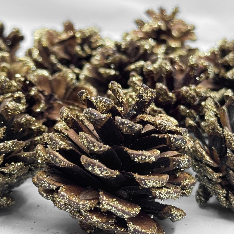 Black Duck Brand 30 x Christmas Glitter Frosted Pine Cones
