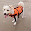 VIVAGLORY Ripstop Dog Life Jacket for Small Medium Large Dogs