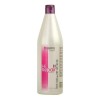 Shampoo Salerm Cabello Daado Y Deshidratado Hi Repair 1 L