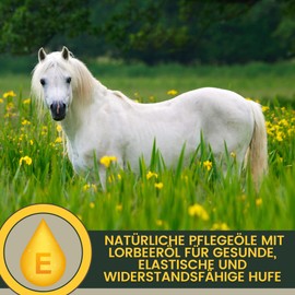 Saddle Soap + Hoof Balm Colourless I Leather & Horse Care Set Smooth Leather Care Saddle Leather Boots Bridle Leather Couch Car Sofa Shoes l Leather Balm for Spraying Care & Protection of Leather