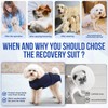 SlowTon Dog Surgery Recovery Suit - Zipper On Dog Onesies
