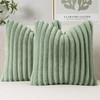 Faux Fur Throw Pillow Covers – Set of 2 Plush