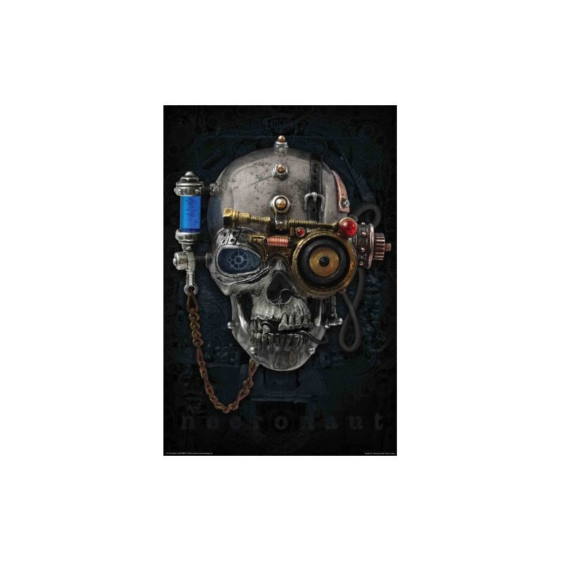 NMR/Aquarius Alchemy Necronaut Poster