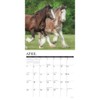Clydesdales 2026 12" x 12" Wall Calendar